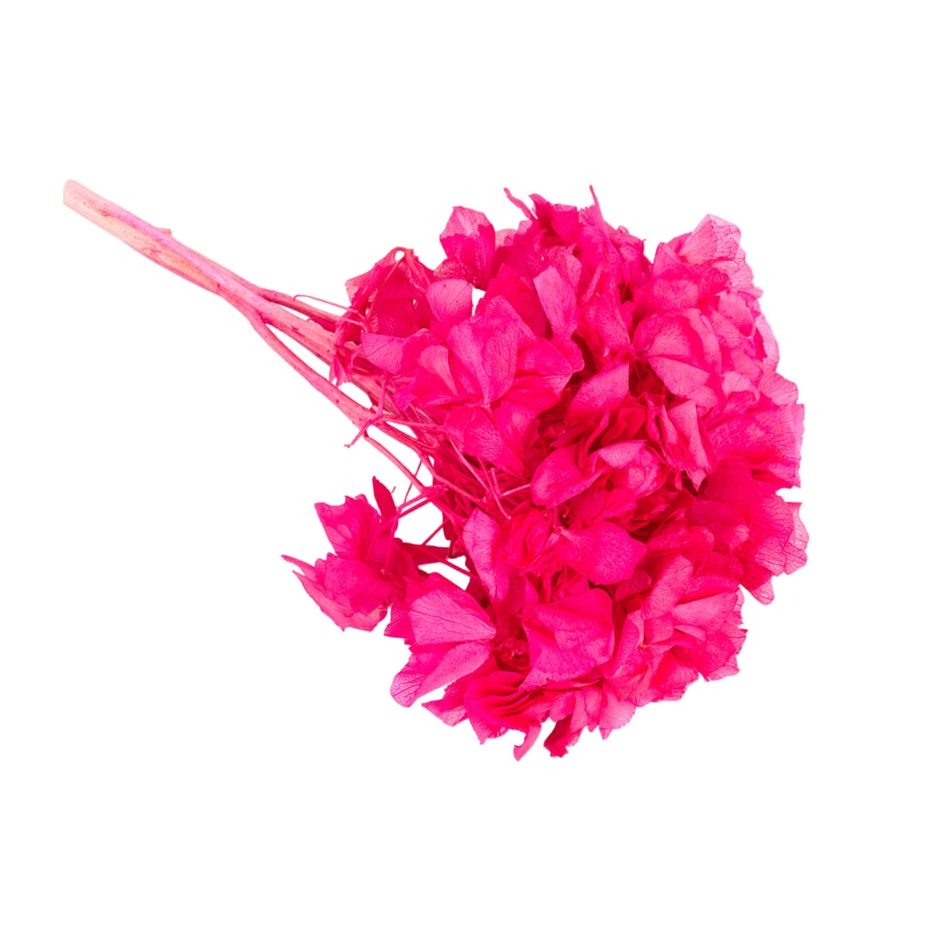 Frida's Favorite Mix&Match