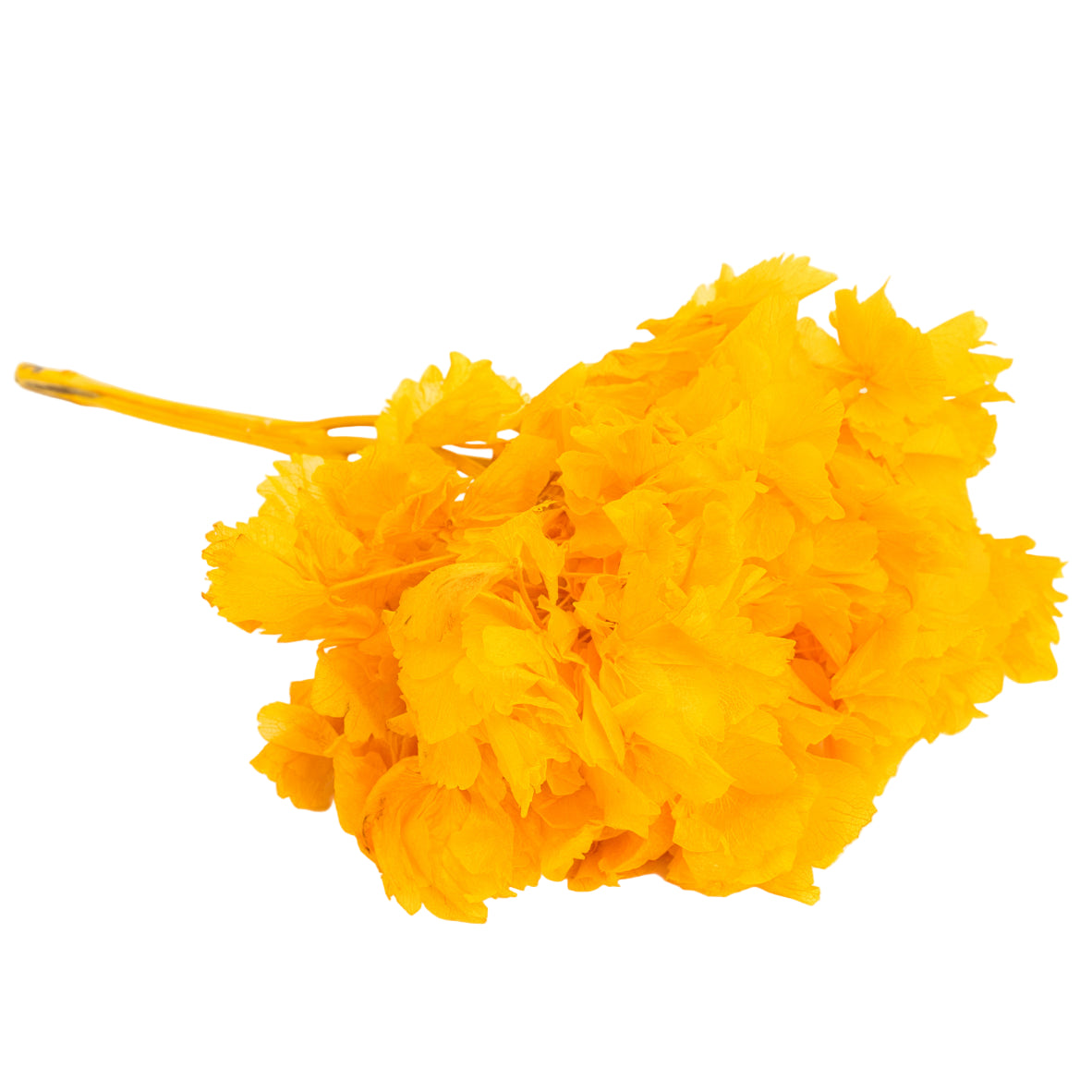 Caspar's Choice Mix&Match