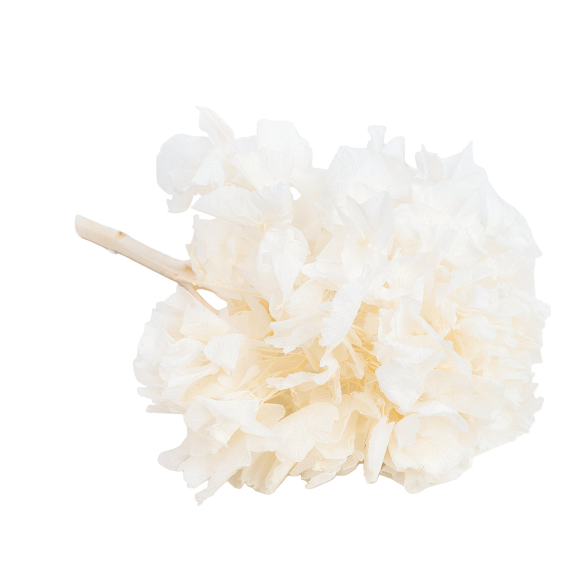 Caspar's Choice Mix&Match